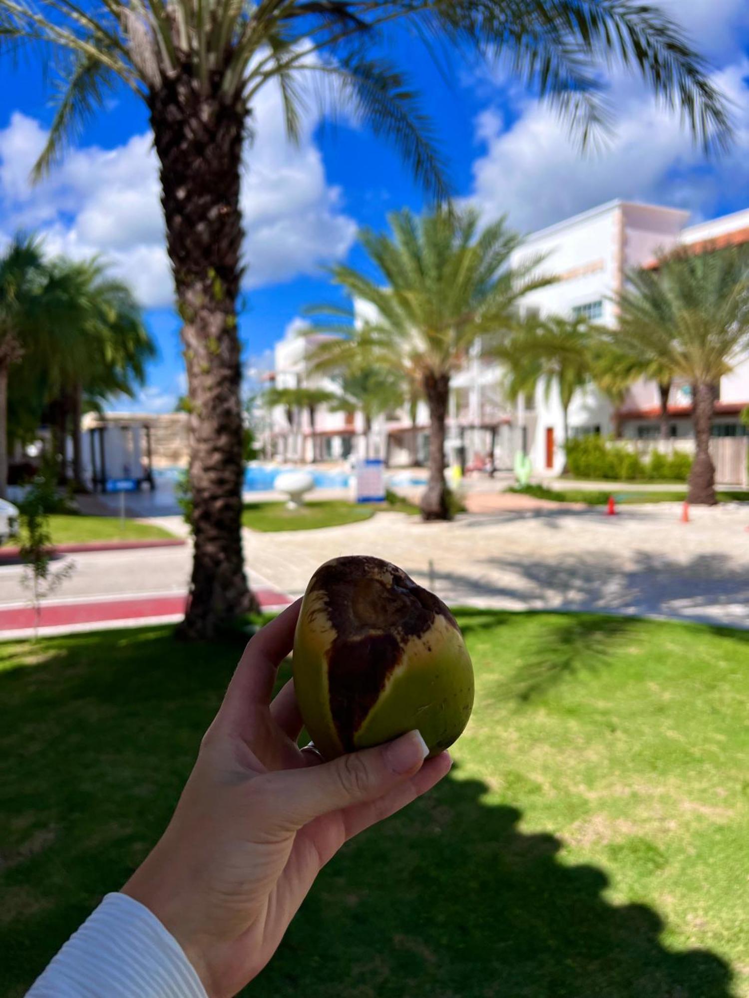 Tanama Hotel Punta Cana Zewnętrze zdjęcie